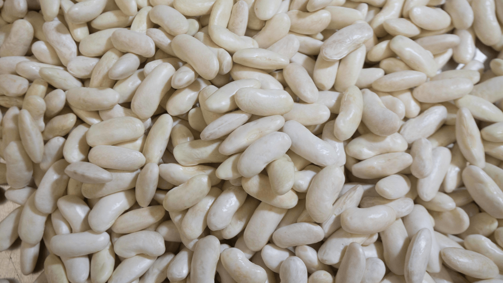 Why fava beans taste gross (and how scientists want to fix them)
