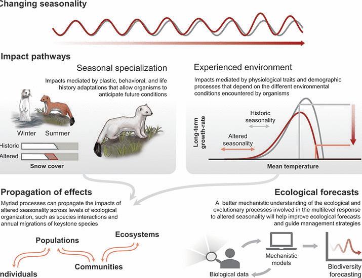 Ecological and evolutionary consequences of changing seasonality | Science