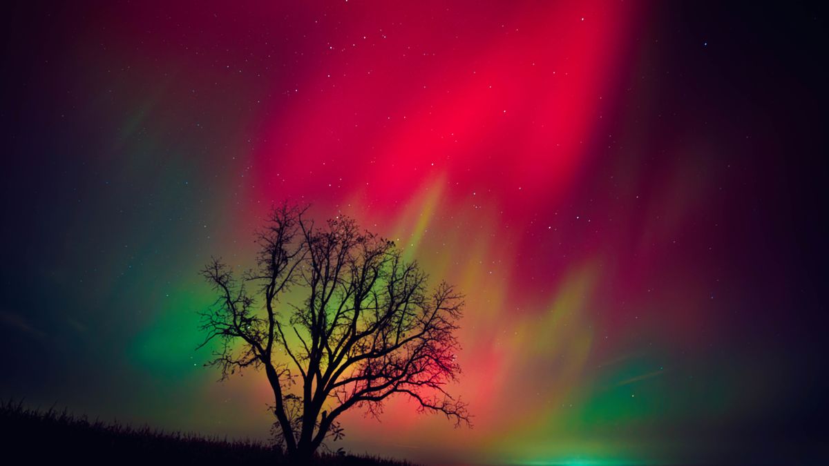 Aurora alert: Ongoing powerful geomagnetic storm could spark more northern lights across the US tonight