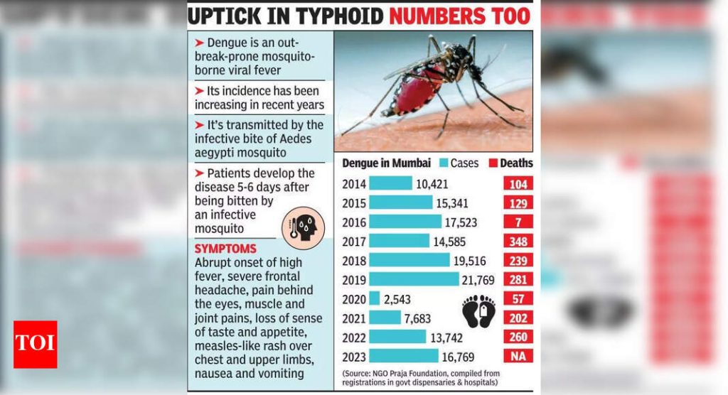 Docs see rise in dengue & malaria cases as rains arrive early; BMC says no spike