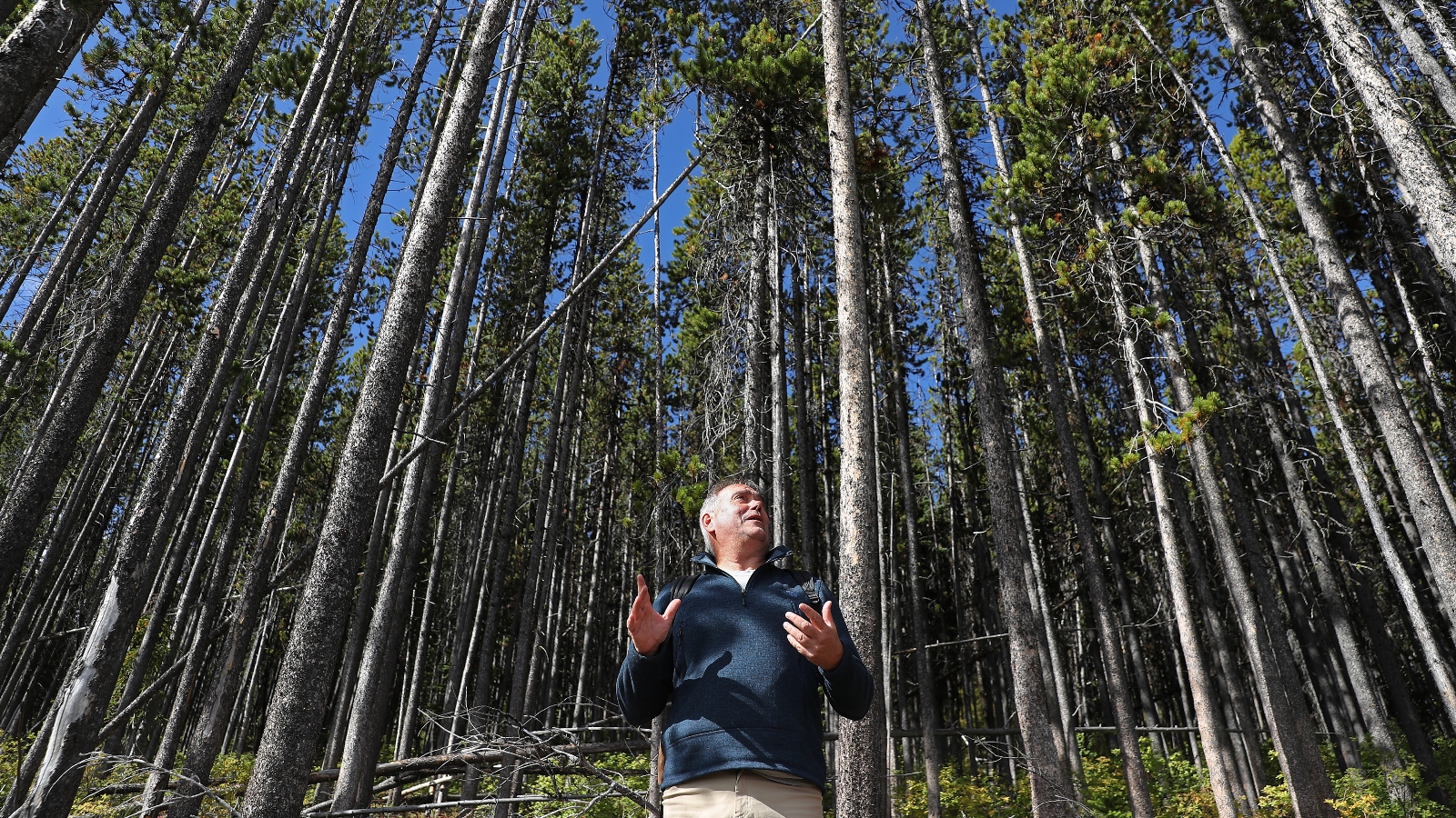 As Trump comes after research, Forest Service scientists keep working