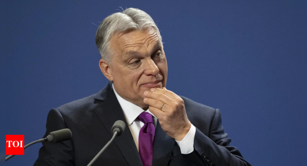 Hungarians silently protest bill ‘muzzling’ NGOs, media