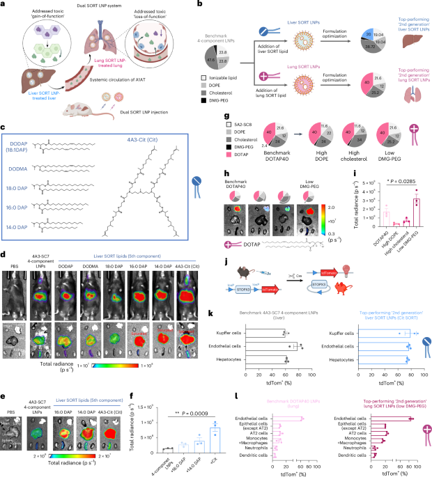 Dual SORT LNPs for multi-organ base editing