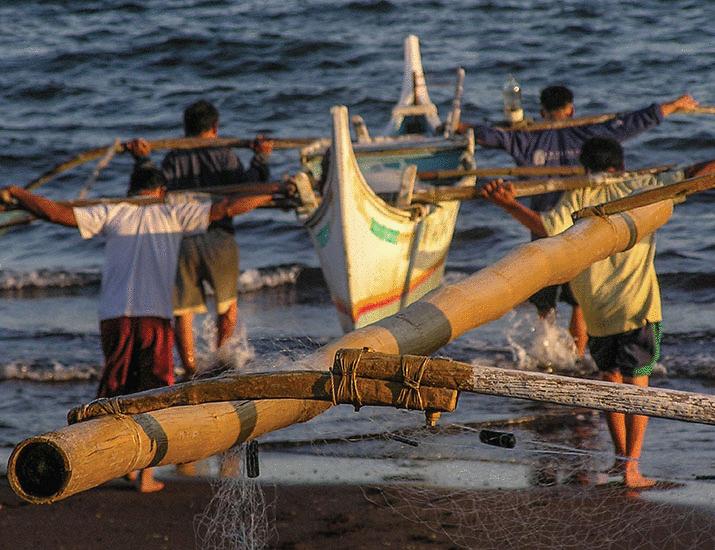Philippine fisheries put food security at risk | Science