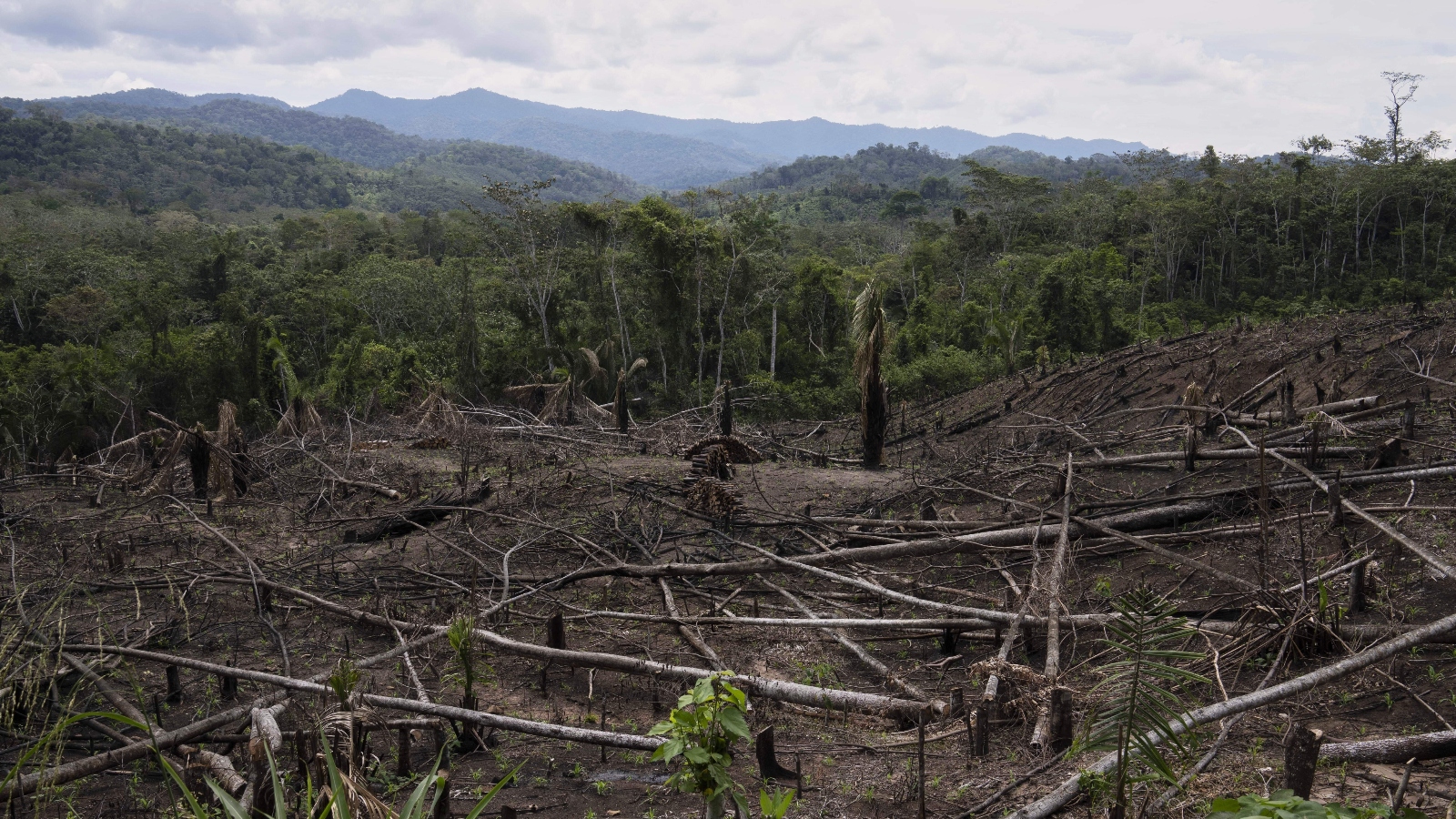 Cuts to USAID severed longstanding American support for Indigenous peoples around the world
