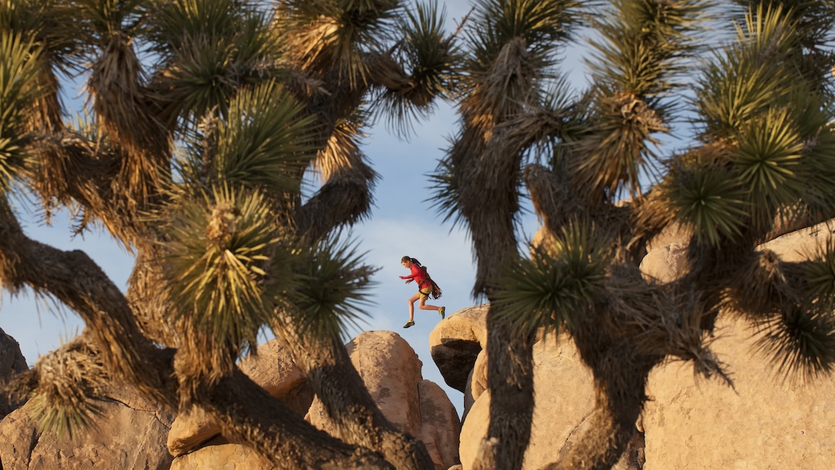 The best Joshua Tree hikes for wanderers and wildlife watchers