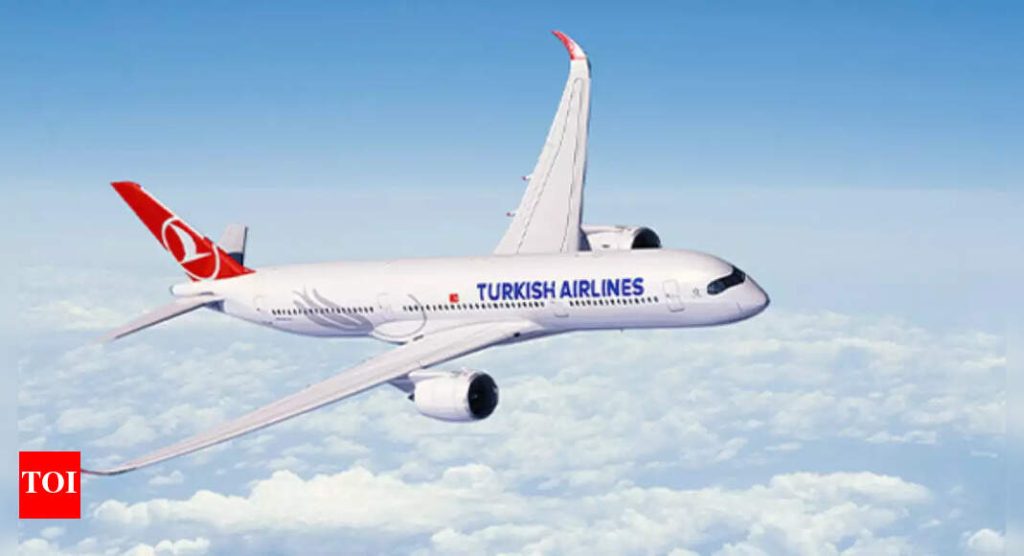 Surprise check on Turkish Airlines plane finds explosives