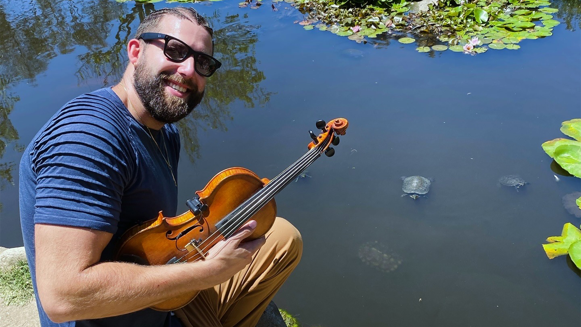 Turtles gather for sweet sounds of violinist