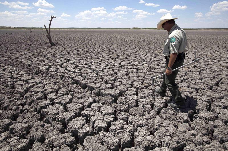 Local predictions of climate change are hazy. But cities need answers fast