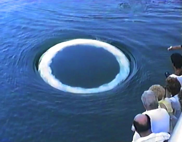 Humpback Whales Offer Humans Giant Bubble Smoke Rings as a Token of Friendship