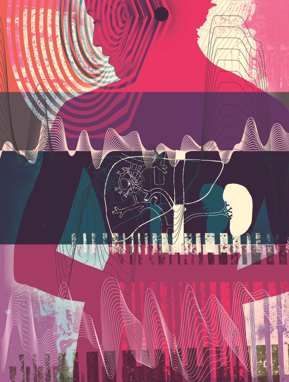 Doctors Could Hack the Nervous System With Ultrasound