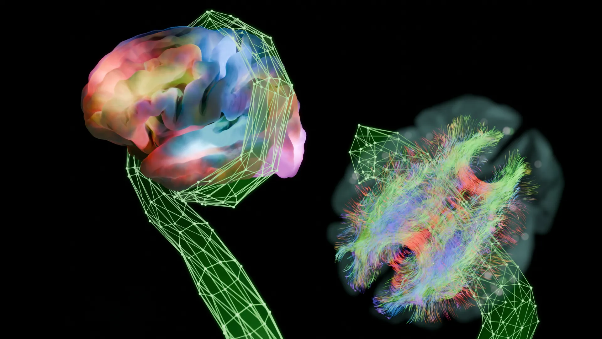 Krakencoder predicts brain function 20x better than past methods