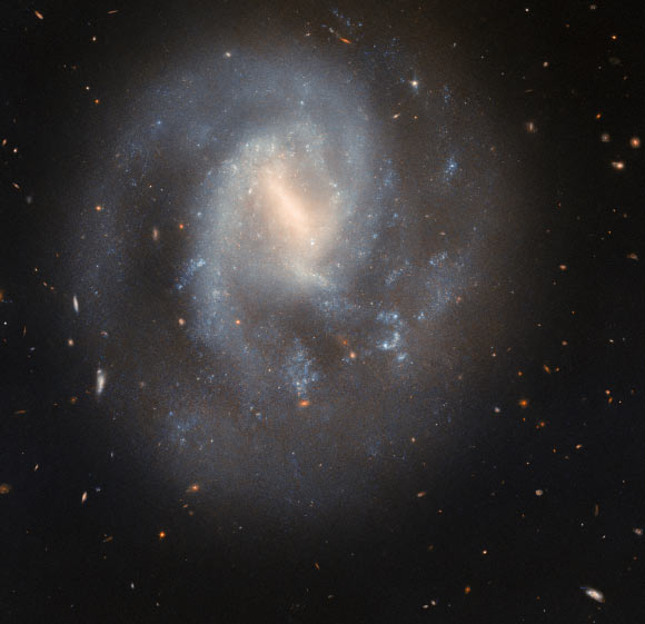 Hubble Looks at Stunning Barred Spiral Galaxy: IC 758