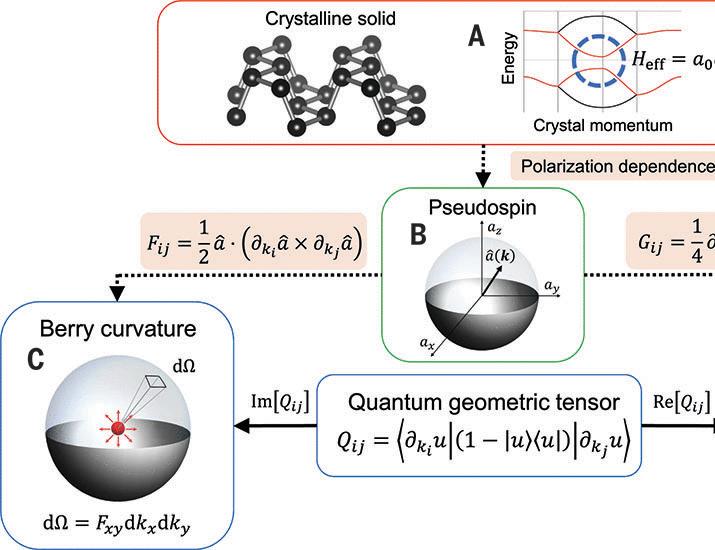 Direct measurement of the quantum metric tensor in solids | Science