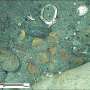 What the coins of the San José Galleon shipwreck reveal