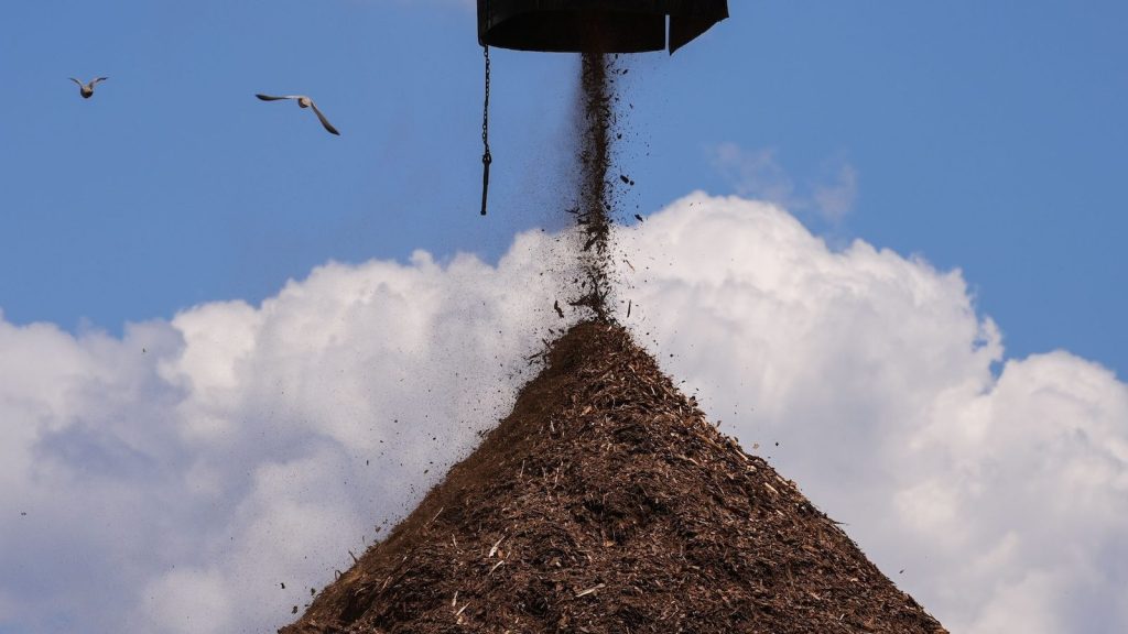 In California, a biomass company’s expansion raises fears of more fires