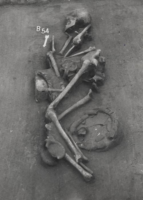 3,500-Year-Old Teeth Identify Turning Point in Bronze Age History of Central Europe