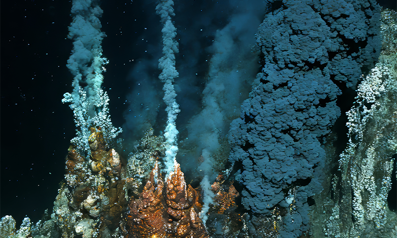 Hunting For the Grandma of All Eukaryotes