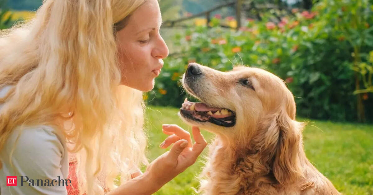 Do people really look like their dogs? Science says it is more than just a funny coincidence