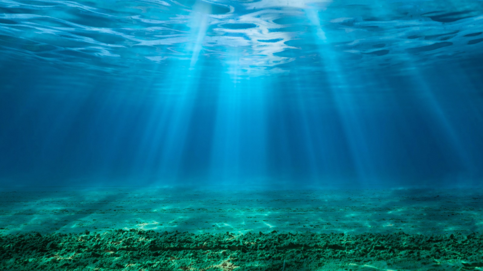 New study claims the world’s oceans are a ‘ticking time bomb’