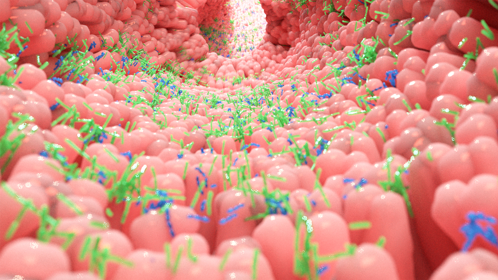 The Gut Microbiome Could Improve Diagnosis and Treatment of Pancreatic Cancer