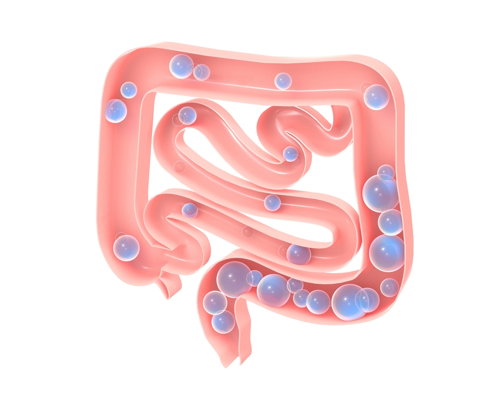 How Can the Same Diet Affect People Differently? The Microbiome and Methane May be Why