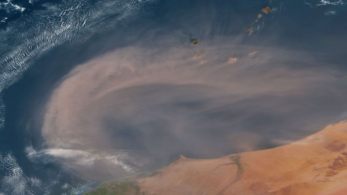 Giant ‘Saharan dust’ plume swirls around Africa a week before it hit Florida — Earth from space