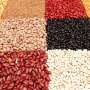 Better heating method makes legumes easier to digest