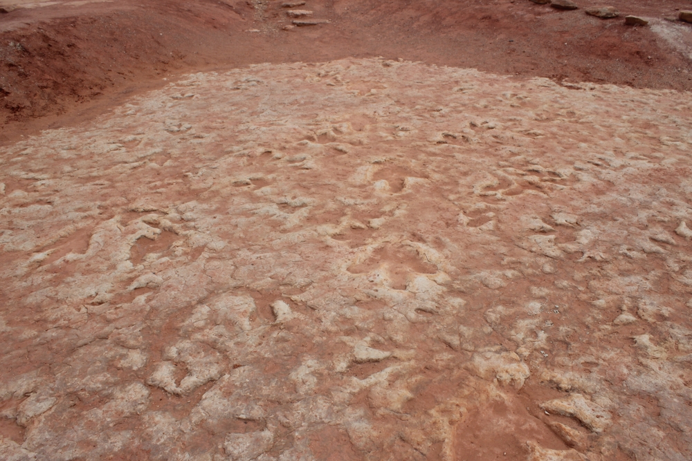 Theropod Dinosaurs Met to Dance, Mate, and Nest in Colorado About 100 Million Years Ago