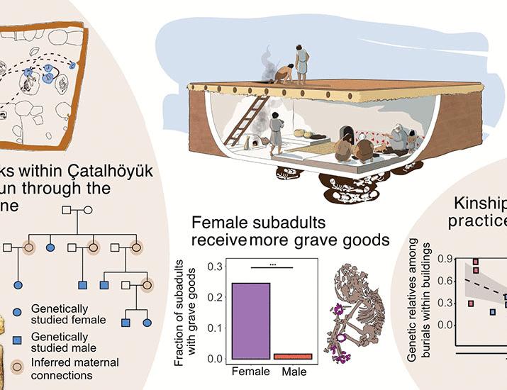 Female lineages and changing kinship patterns in Neolithic Çatalhöyük | Science