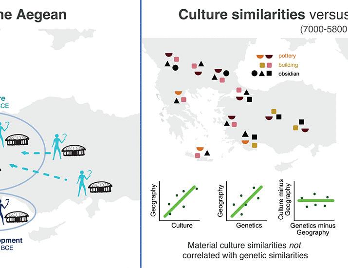 Out-of-Anatolia: Cultural and genetic interactions during the Neolithic expansion in the Aegean | Science