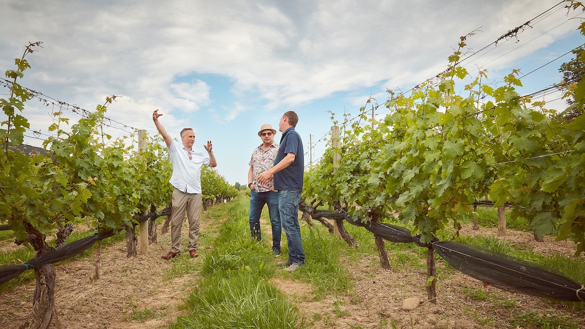 In the shadow of Niagara Falls, Canada’s wine country offers a feast for the senses
