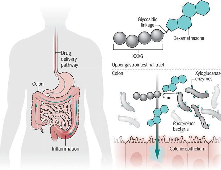 A caged drug enables precision delivery | Science
