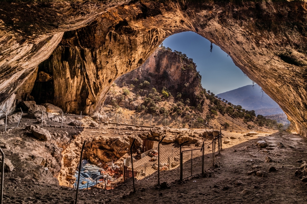 Did Neanderthals Bury Their Dead with Flowers? Shanidar Cave Findings Put Questions to Rest