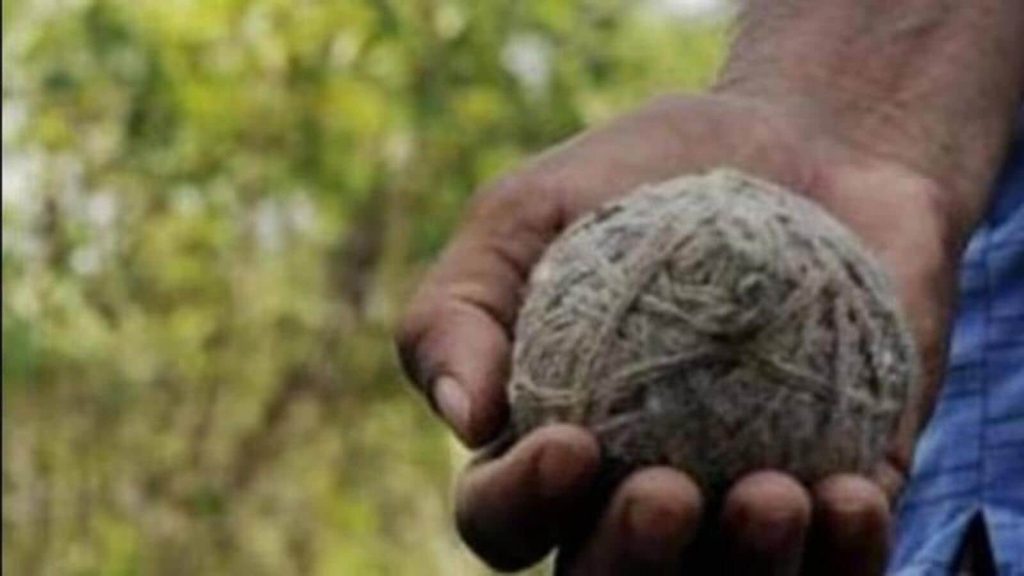 Murshidabad: 1 killed after crude bombs hurled during family dispute over land