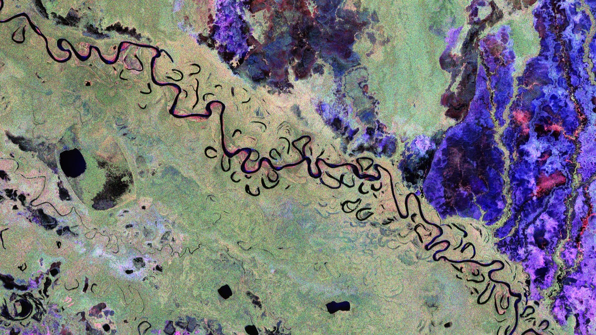 See Earth’s Forests as Never Before in Biomass Satellite’s First Images