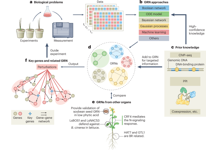 Unlocking gene regulatory networks for crop resilience and sustainable agriculture