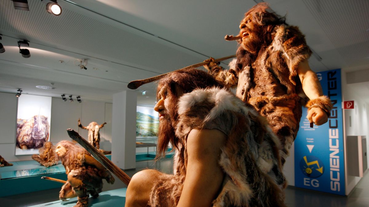 125,000-year-old ‘fat factory’ run by Neanderthals discovered in Germany