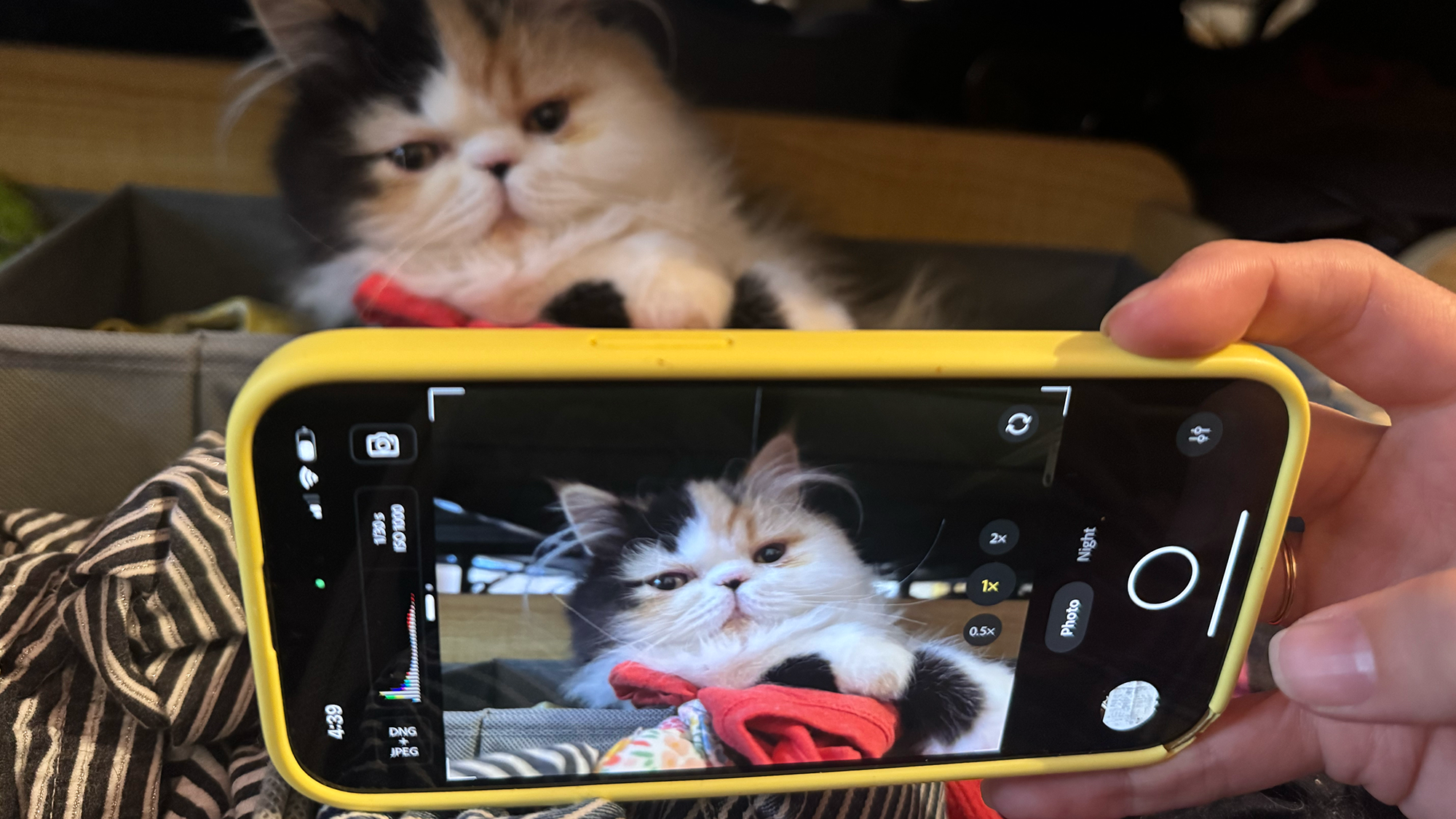Adobe launched a pro-level camera app for your iPhone