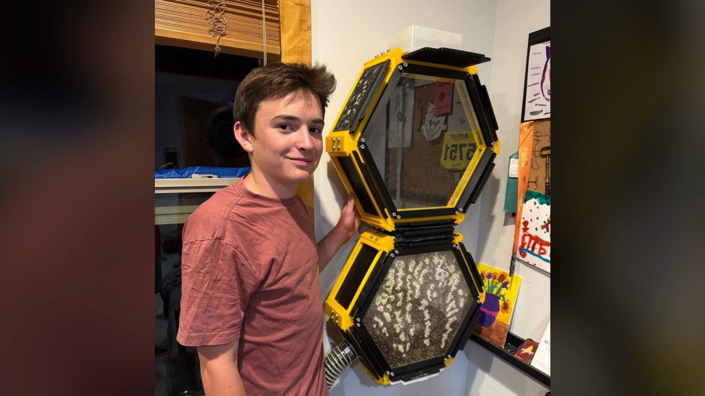 This teen 3D-printed a beehive for his bedroom