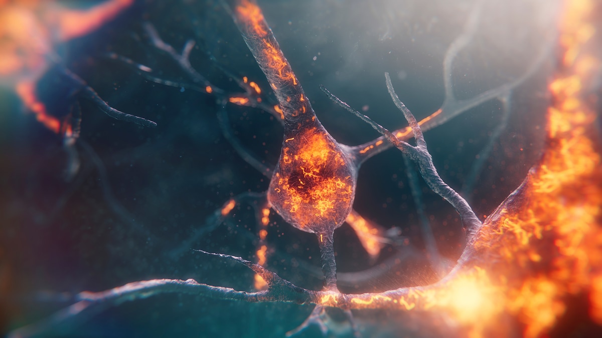 It may be possible to detect Alzheimer’s risk sooner—as early as your 20s