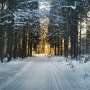 Polar vortex patterns explain shifting US winter cold despite warming climate