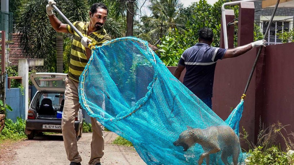 Kochi Corporation Boosts ABC Unit with Six Trained Dog Catchers