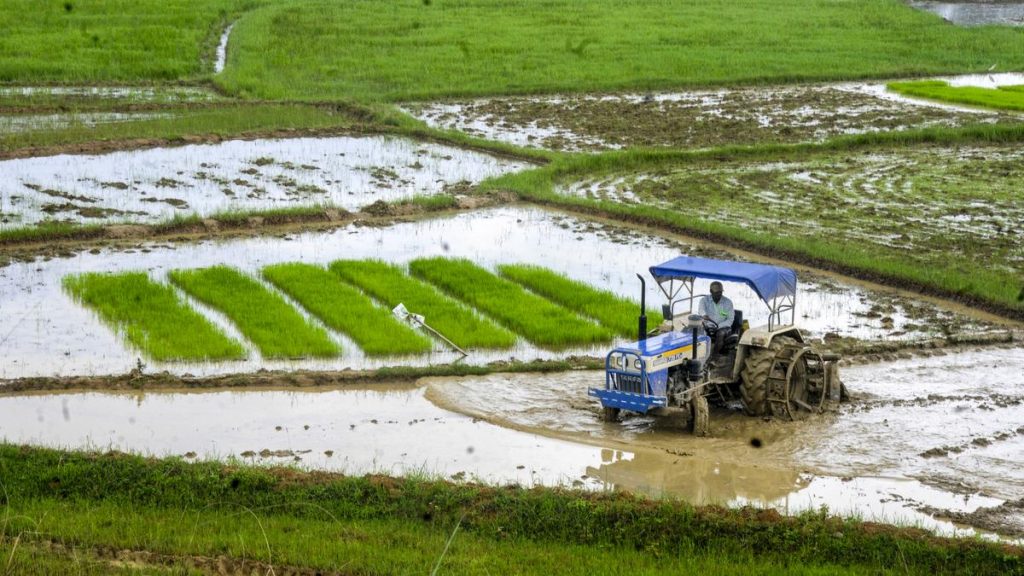 Heavy Rain Alert: IMD Issues Yellow Warning for Jharkhand, July 13-15
