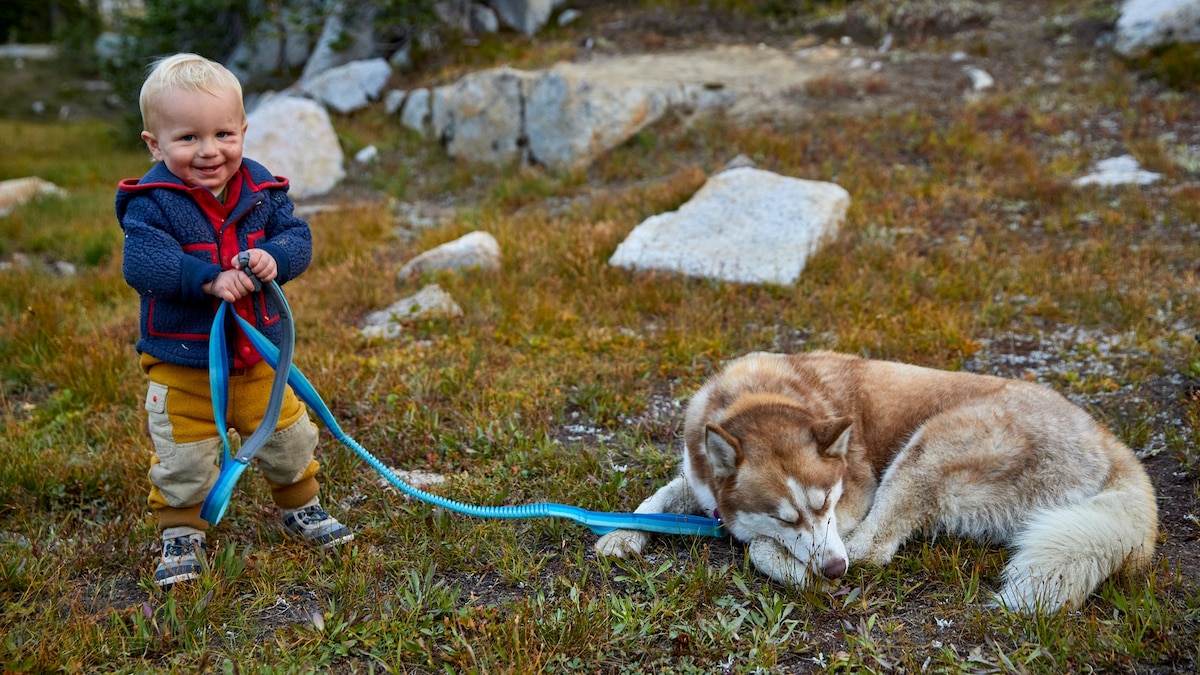 Do you call your dog your ‘furbaby’? It’s not an obsession—it’s science