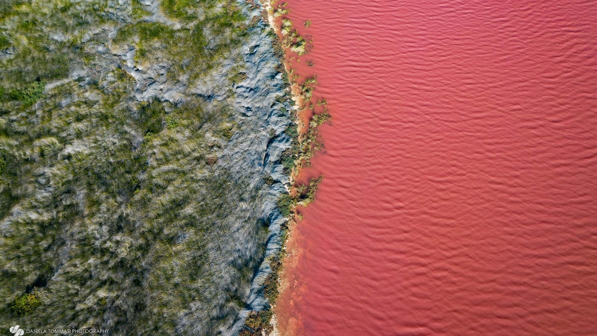 Australia’s famous pink lakes are disappearing