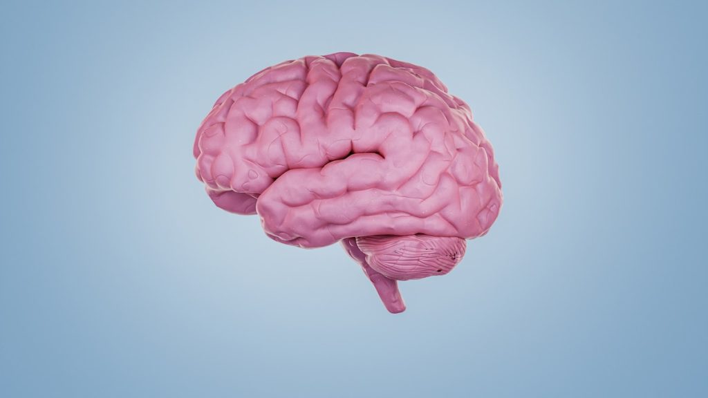 Your brain could be ‘older’ than your age—and it’s easier than ever to find out