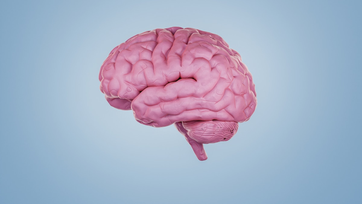 Your brain could be ‘older’ than your age—and it’s easier than ever to find out