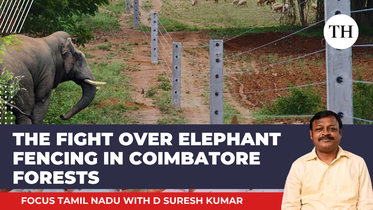 watch:-the-fight-over-elephant-fencing-in-coimbatore-forests-|-focus-tamil-nadu