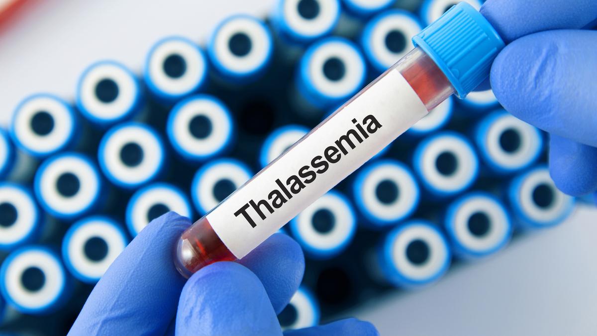 thalassemia-patients-call-for-standardised-tests-to-reduce-transfusion-transmitted-infections 